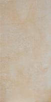 Infinity Ceramic Tiles Domus 30x60 настенная плитка